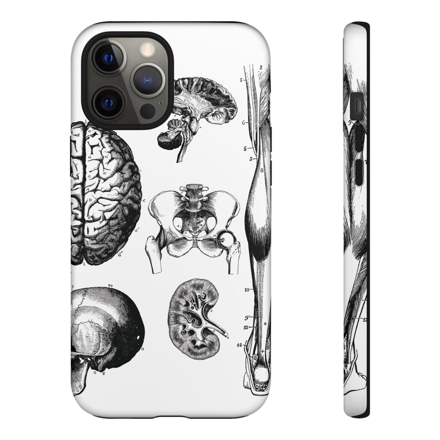 Vintage Anatomy Phone Case - Medical Sketch Design - Custom iPhone, Samsung & Pixel Cover - Science Gift - Doctor Aesthetic - Anatomy case