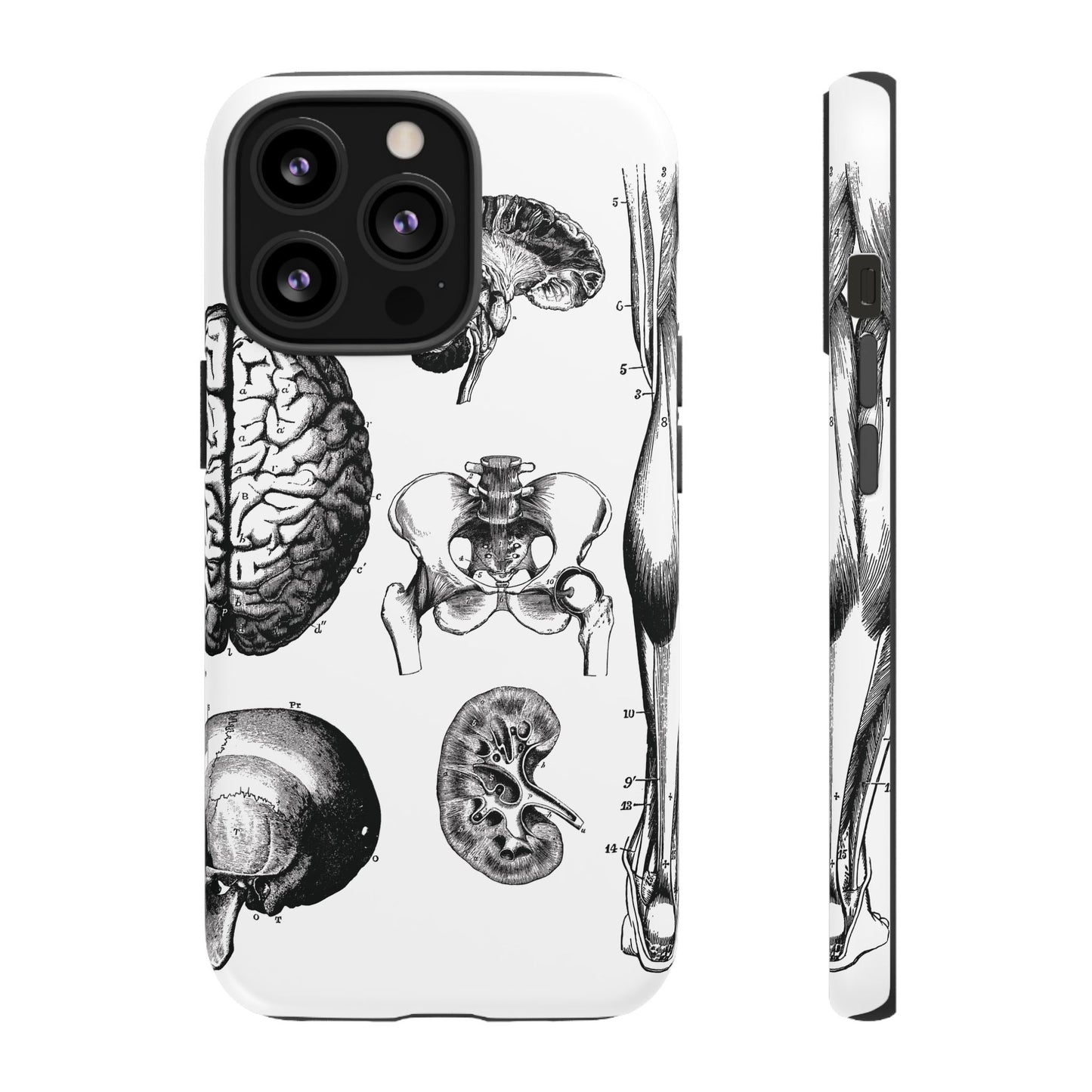 Vintage Anatomy Phone Case - Medical Sketch Design - Custom iPhone, Samsung & Pixel Cover - Science Gift - Doctor Aesthetic - Anatomy case