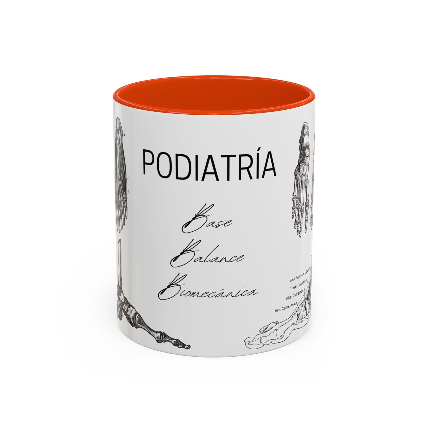 Taza Podología Pie Anatómico, Regalo Podólogo, Taza Anatomía Médica, Taza Doctor, Taza Estudiante Medicina, Personal Sanitario