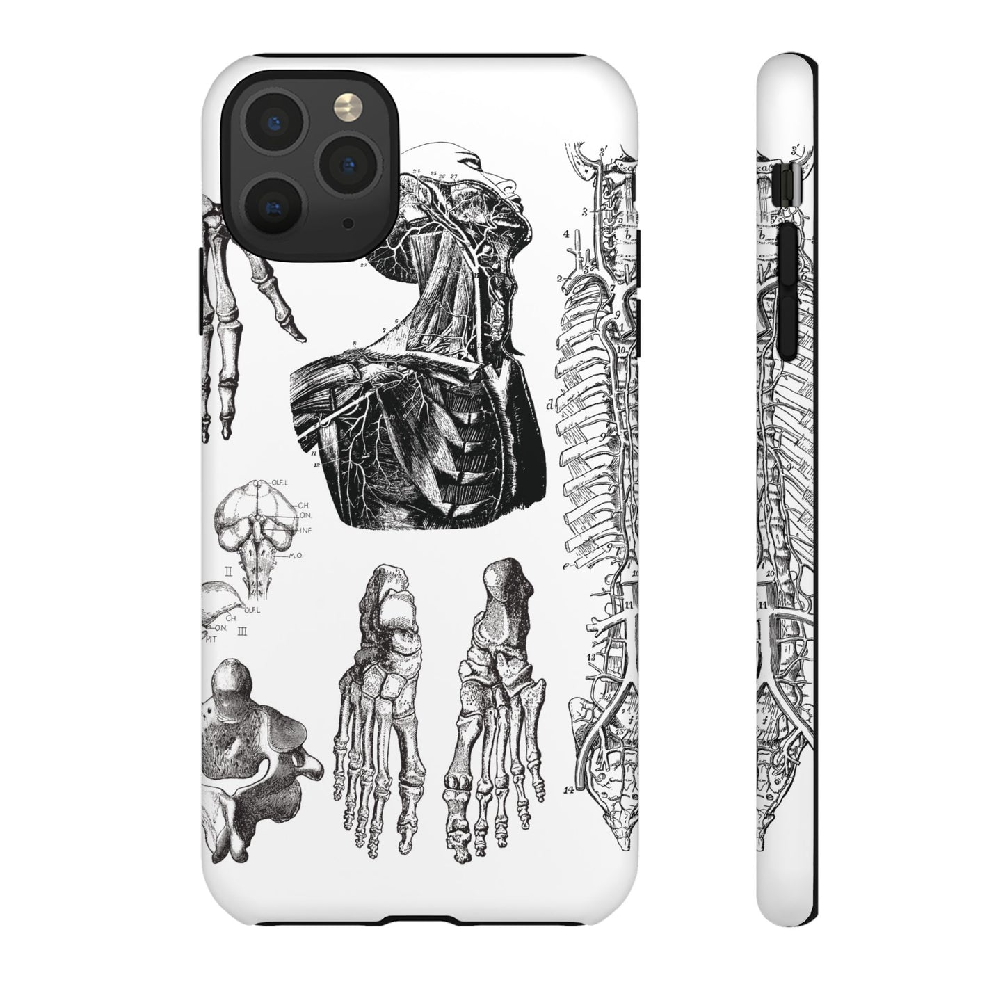 Vintage Anatomy Phone Case - Medical Illustration Design - Custom iPhone, Samsung & Pixel Cover - Science Gift - Doctor Aesthetic - Anatomy