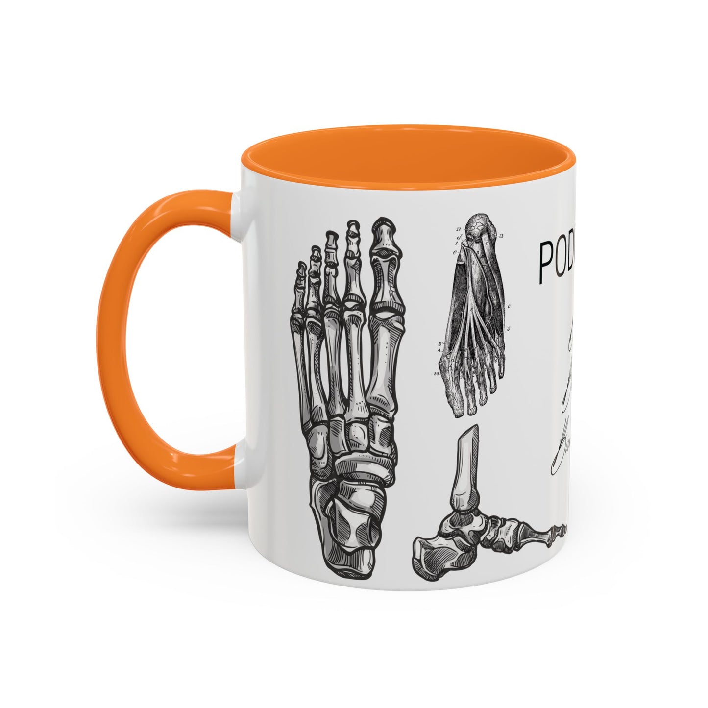Taza Podología Pie Anatómico, Regalo Podólogo, Taza Anatomía Médica, Taza Doctor, Taza Estudiante Medicina, Personal Sanitario