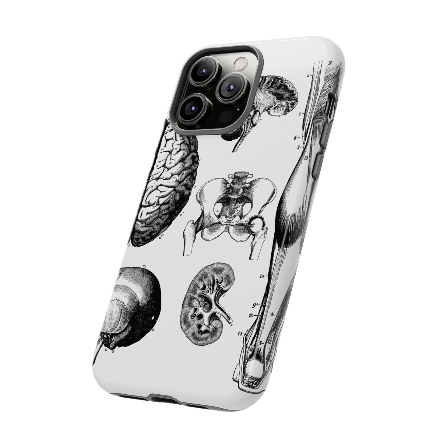 Vintage Anatomy Phone Case - Medical Sketch Design - Custom iPhone, Samsung & Pixel Cover - Science Gift - Doctor Aesthetic - Anatomy case