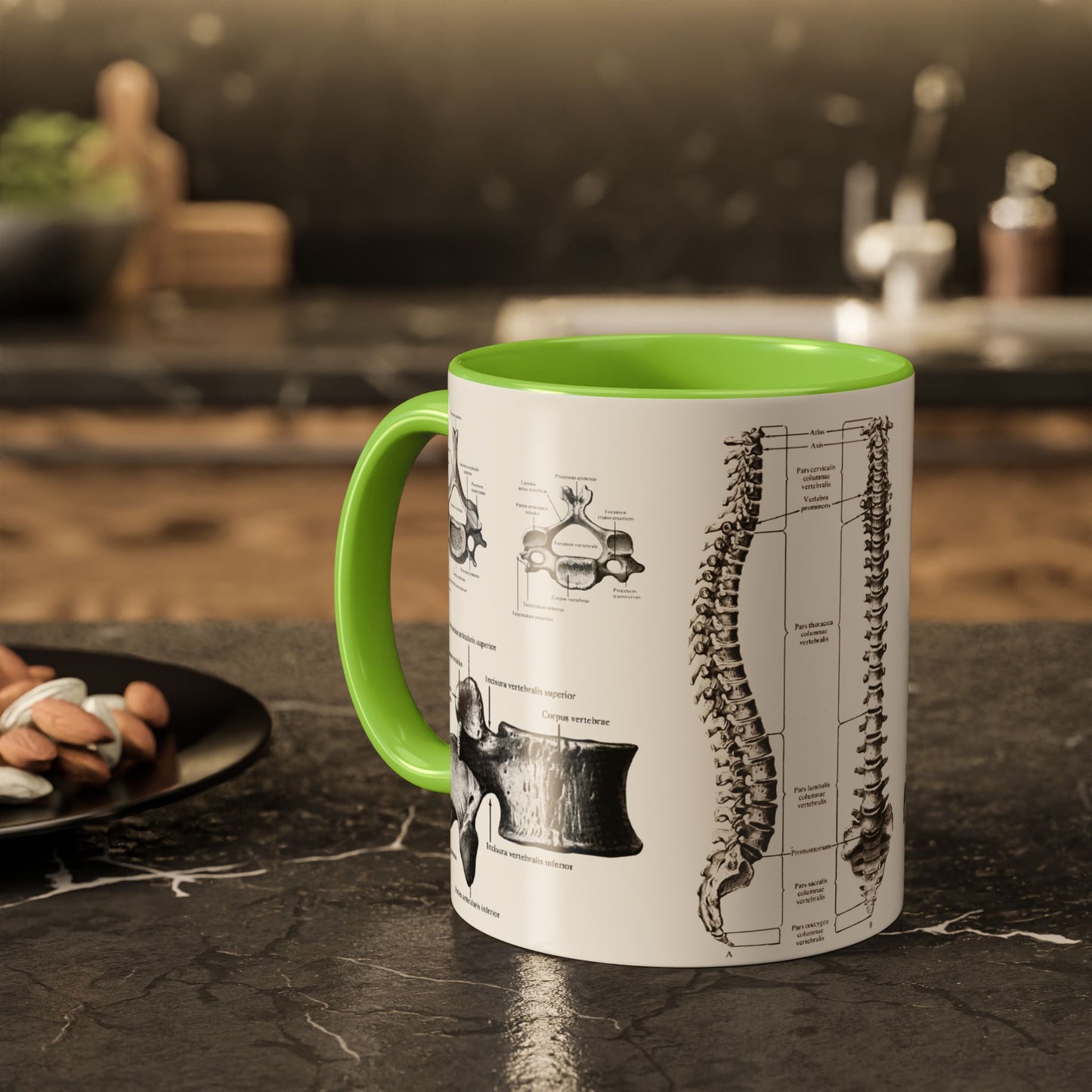 Anatomical Spine Mug, Medical Student Gift, Doctor, Nurse, Neurosurgeon