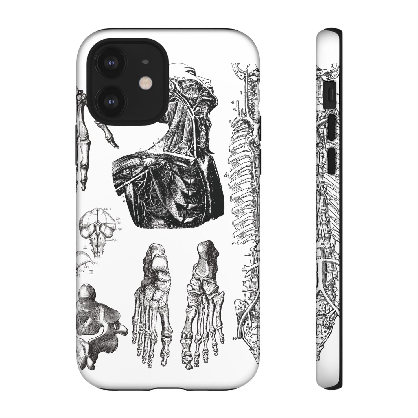Vintage Anatomy Phone Case - Medical Illustration Design - Custom iPhone, Samsung & Pixel Cover - Science Gift - Doctor Aesthetic - Anatomy