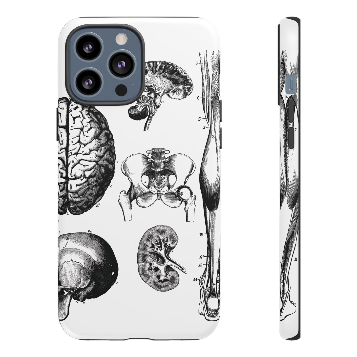 Vintage Anatomy Phone Case - Medical Sketch Design - Custom iPhone, Samsung & Pixel Cover - Science Gift - Doctor Aesthetic - Anatomy case