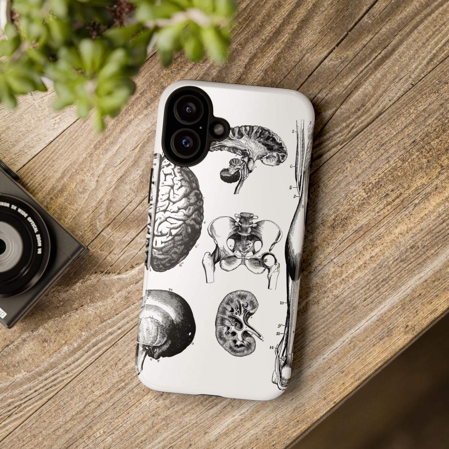 Vintage Anatomy Phone Case - Medical Sketch Design - Custom iPhone, Samsung & Pixel Cover - Science Gift - Doctor Aesthetic - Anatomy case