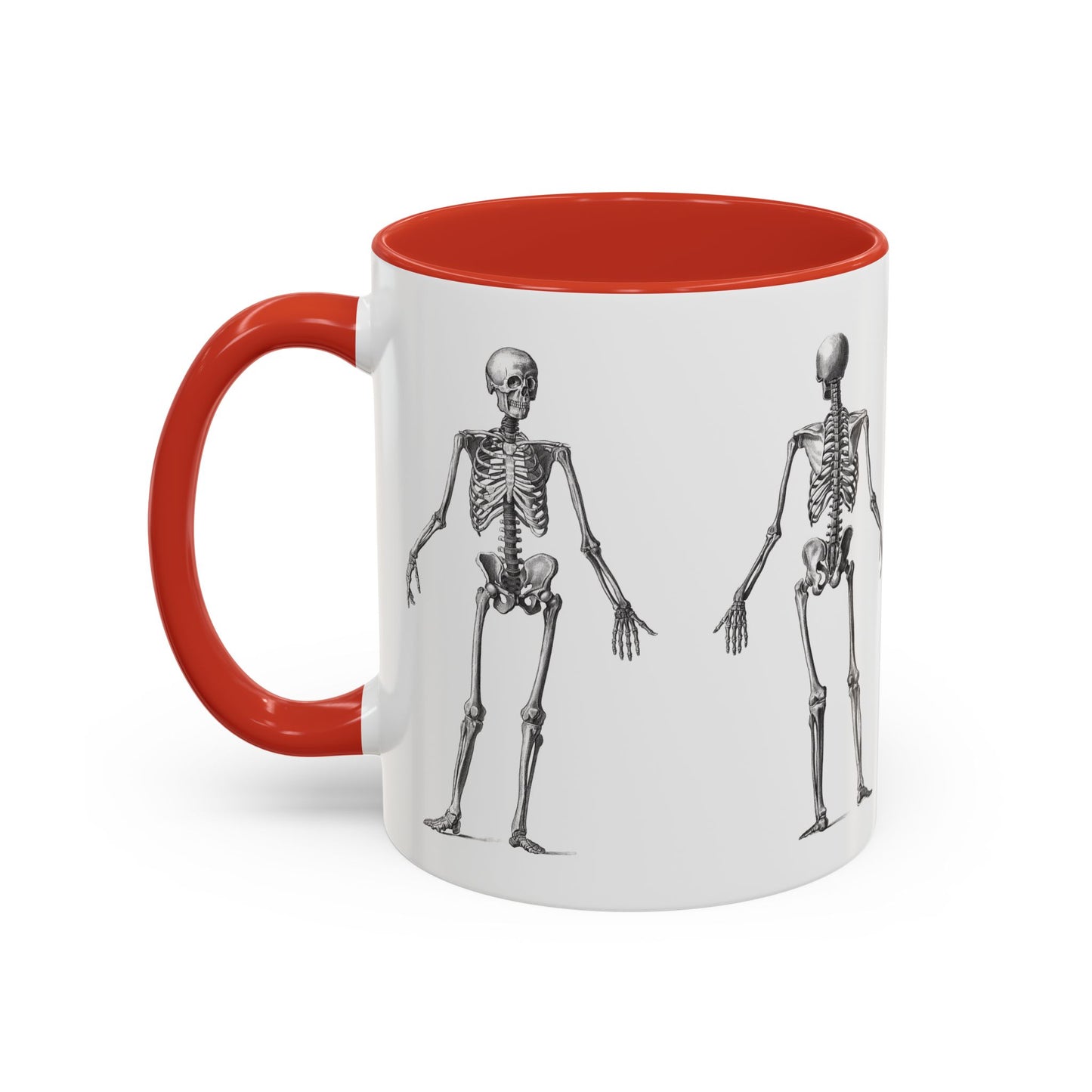 Anatomy Skeleton Accent Coffee Mug, Medical Student Doctor Nurse Gift, Anatomical Diagram, Halloween Mug, Biology Teacher Gift,