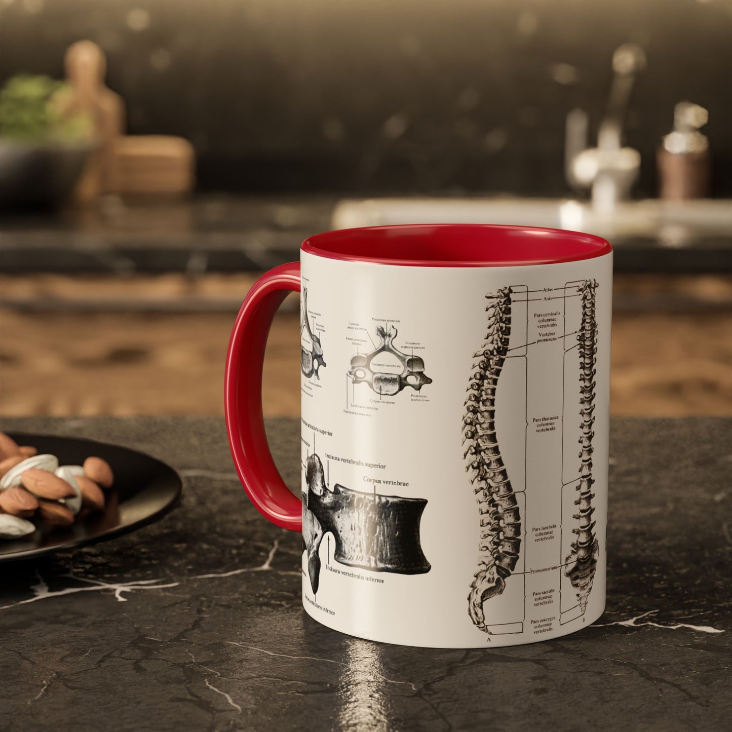Anatomical Spine Mug, Medical Student Gift, Doctor, Nurse, Neurosurgeon