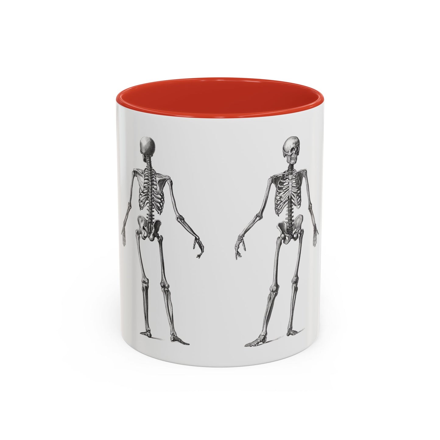 Anatomy Skeleton Accent Coffee Mug, Medical Student Doctor Nurse Gift, Anatomical Diagram, Halloween Mug, Biology Teacher Gift,