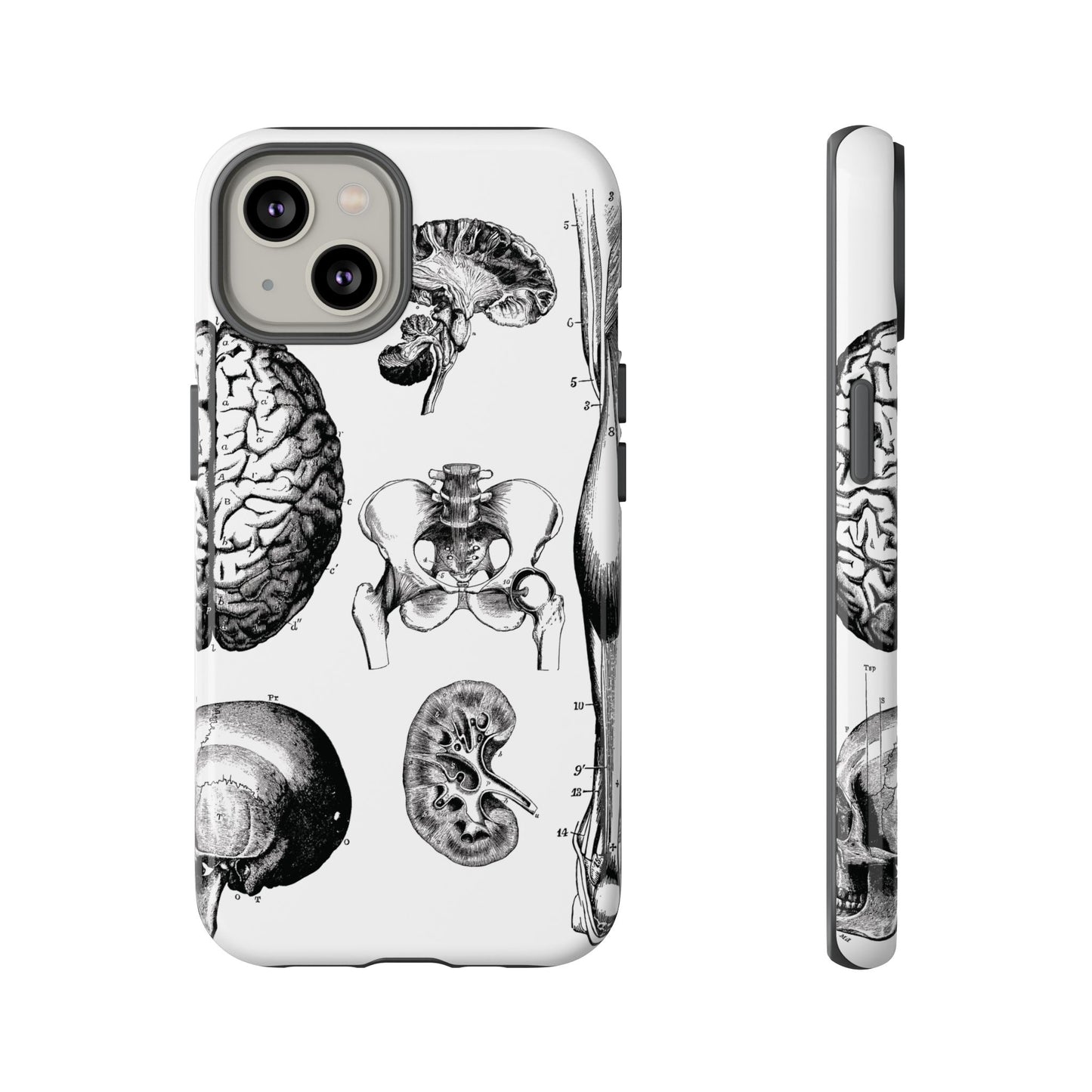 Vintage Anatomy Phone Case - Medical Sketch Design - Custom iPhone, Samsung & Pixel Cover - Science Gift - Doctor Aesthetic - Anatomy case