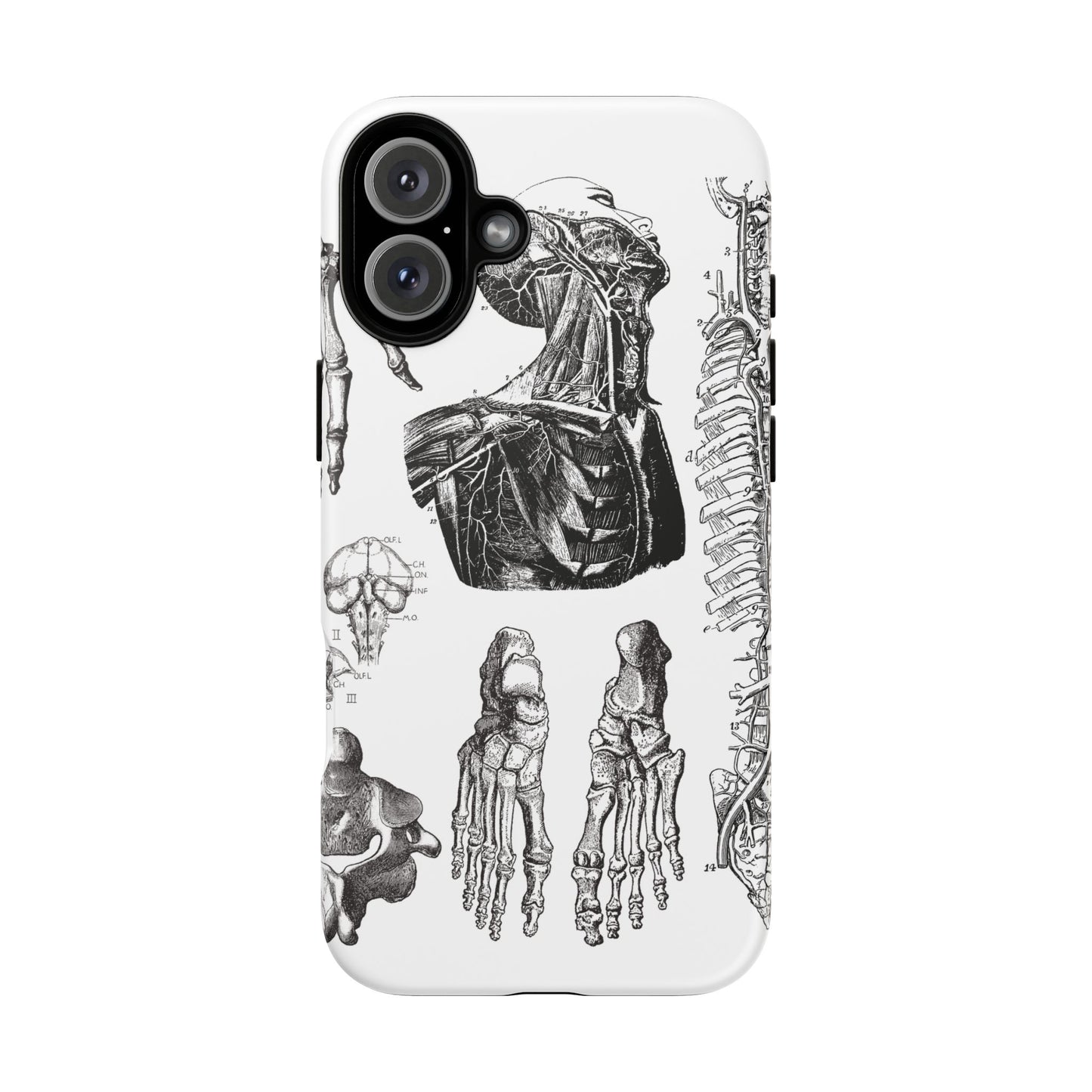 Vintage Anatomy Phone Case - Medical Illustration Design - Custom iPhone, Samsung & Pixel Cover - Science Gift - Doctor Aesthetic - Anatomy