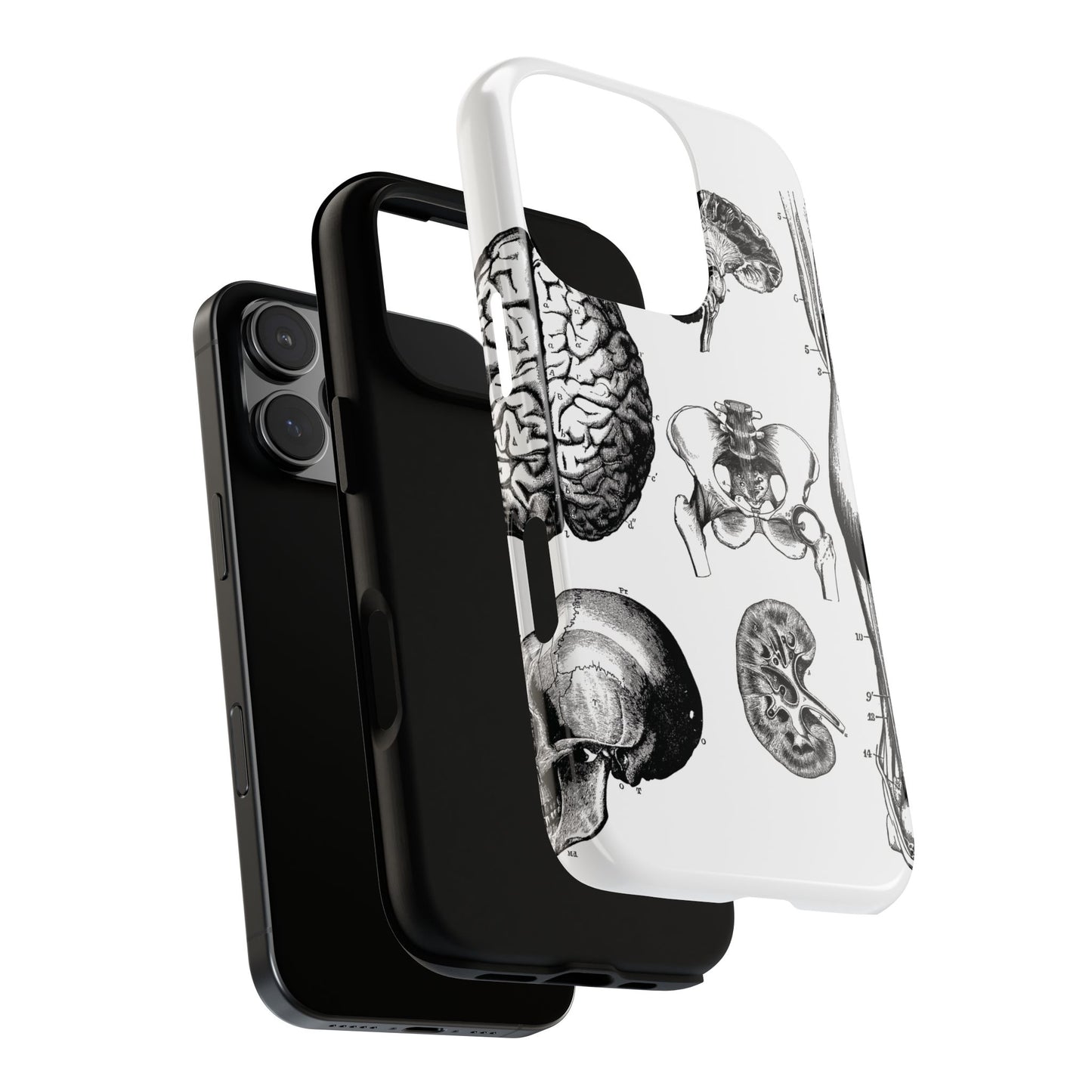 Vintage Anatomy Phone Case - Medical Sketch Design - Custom iPhone, Samsung & Pixel Cover - Science Gift - Doctor Aesthetic - Anatomy case