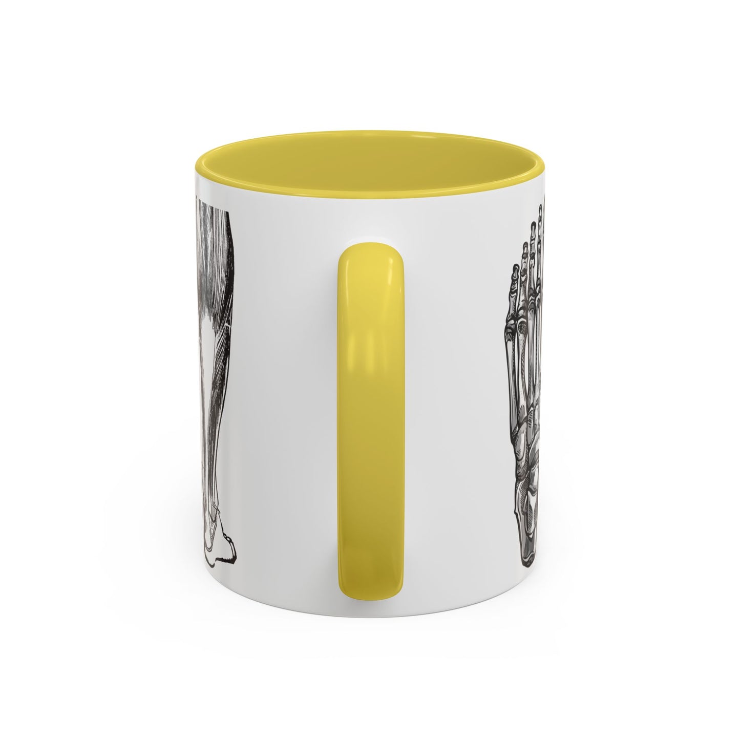 Taza Podología Pie Anatómico, Regalo Podólogo, Taza Anatomía Médica, Taza Doctor, Taza Estudiante Medicina, Personal Sanitario