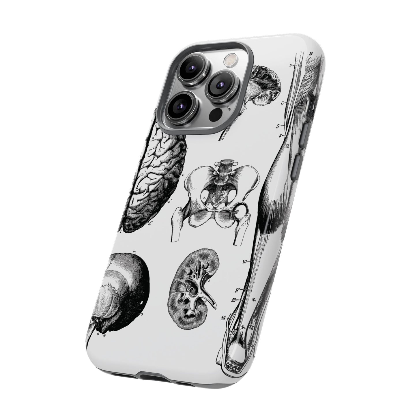 Vintage Anatomy Phone Case - Medical Sketch Design - Custom iPhone, Samsung & Pixel Cover - Science Gift - Doctor Aesthetic - Anatomy case