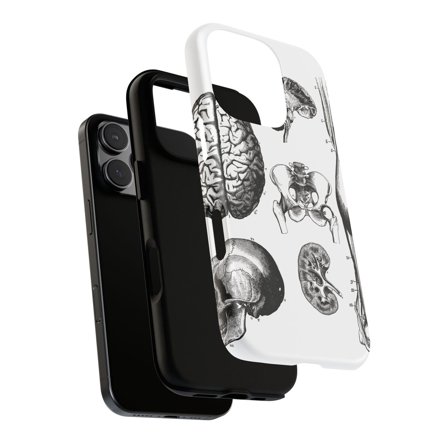 Vintage Anatomy Phone Case - Medical Sketch Design - Custom iPhone, Samsung & Pixel Cover - Science Gift - Doctor Aesthetic - Anatomy case