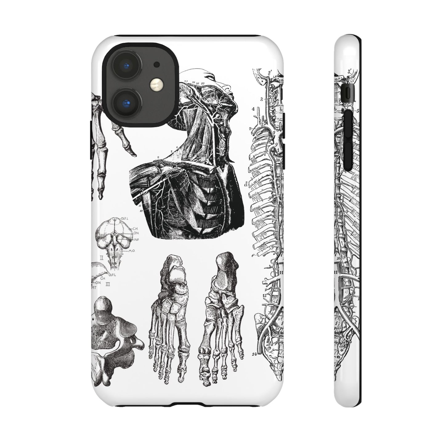 Vintage Anatomy Phone Case - Medical Illustration Design - Custom iPhone, Samsung & Pixel Cover - Science Gift - Doctor Aesthetic - Anatomy
