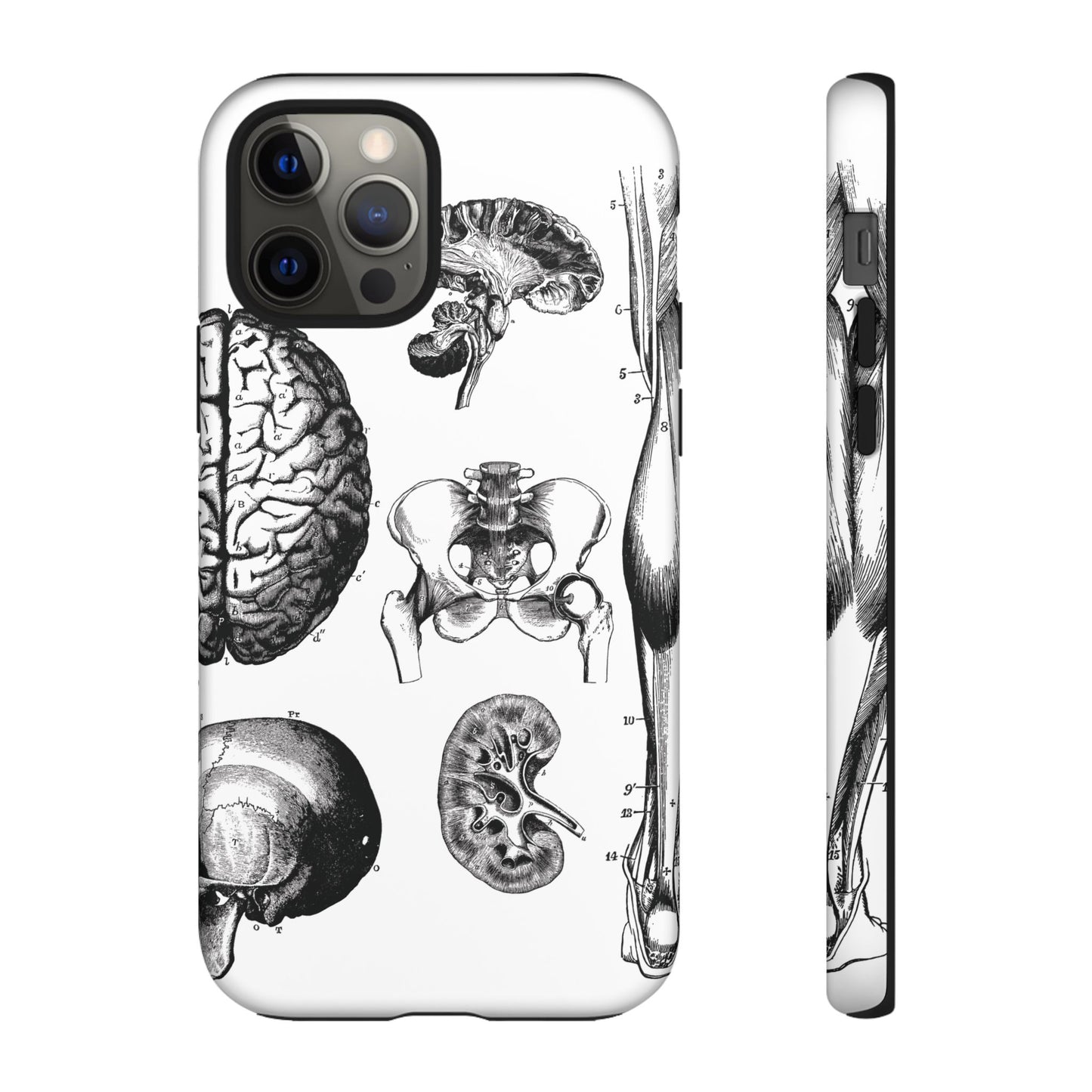 Vintage Anatomy Phone Case - Medical Sketch Design - Custom iPhone, Samsung & Pixel Cover - Science Gift - Doctor Aesthetic - Anatomy case