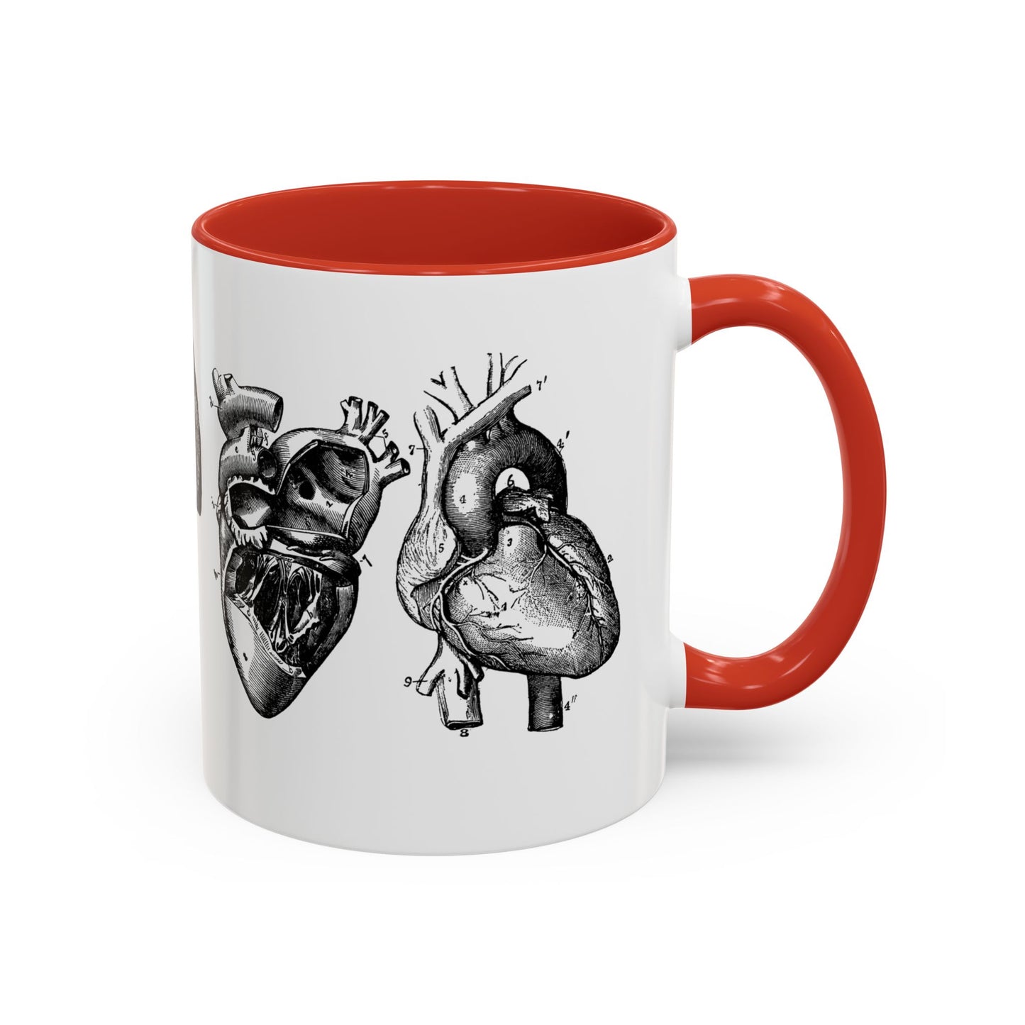 Cardiothoracic Surgery Mug, Heart and Lung Anatomy Cup, Surgeon Gift, Medical Anatomy Mug, Doctor Appreciation, Healthcare Worker Gift