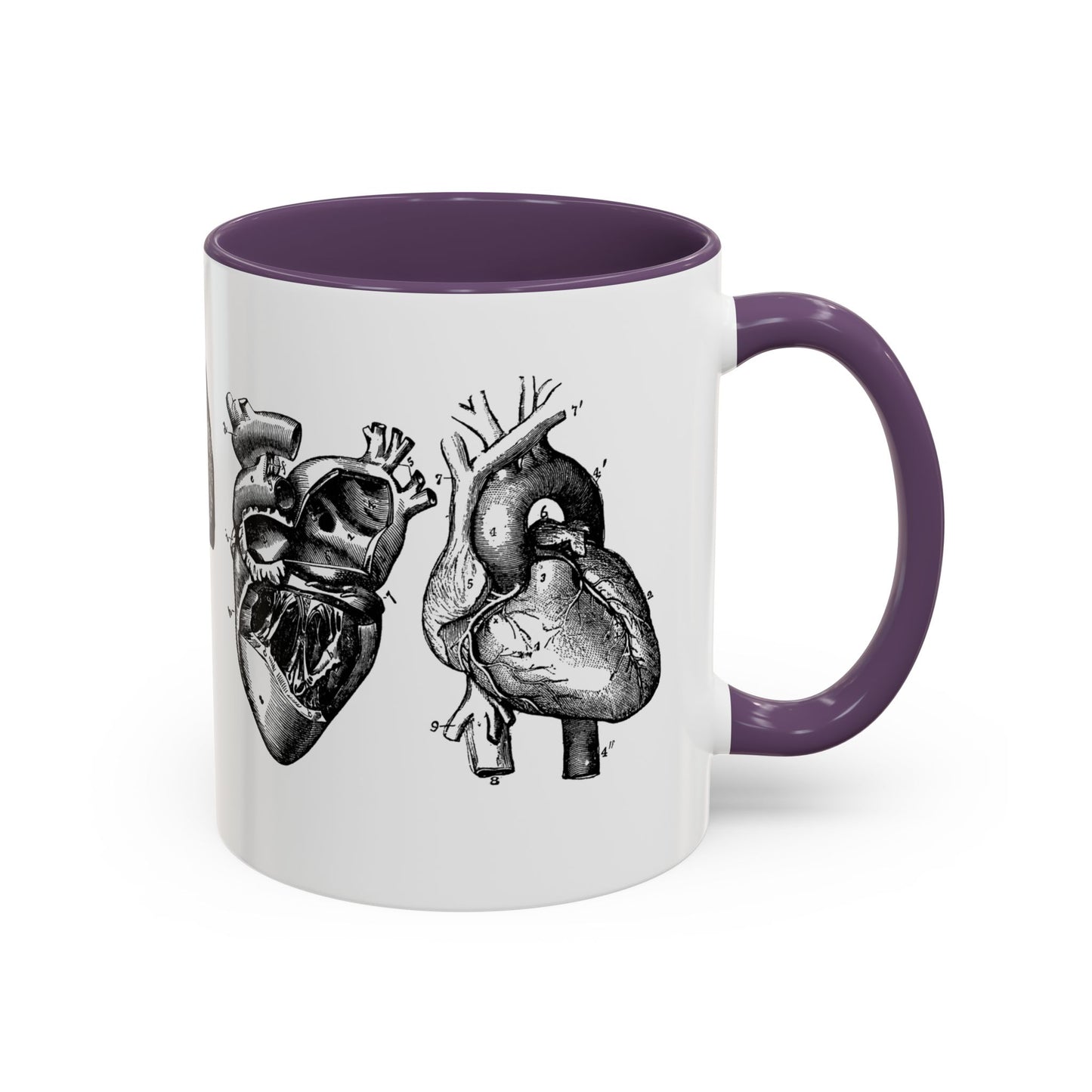 Cardiothoracic Surgery Mug, Heart and Lung Anatomy Cup, Surgeon Gift, Medical Anatomy Mug, Doctor Appreciation, Healthcare Worker Gift